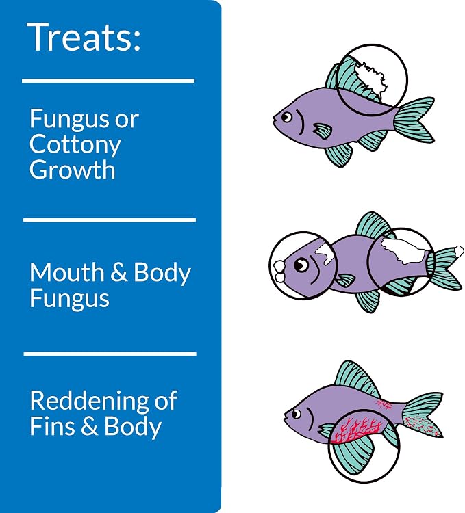 API PIMAFIX Antifungal Freshwater and Saltwater Fish Remedy 8-Ounce Bottle (10H)