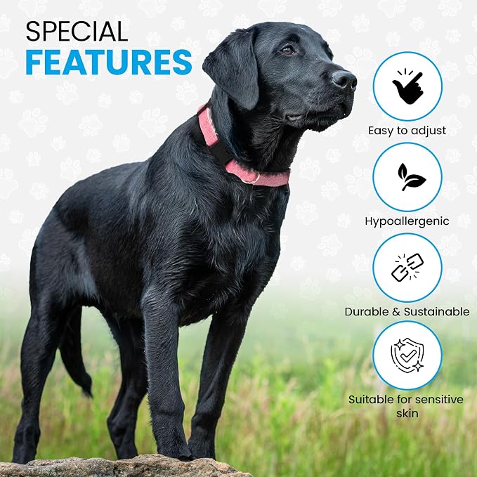 Hypoallergenic Dog Collar - Great for Sensitive Skin, Soft Collar for Dogs, Soft Organic & Earth Friendly (X-Large, Light Blue)