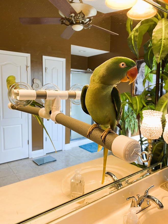 Polly's Portable Window-Shower Perch with Suction Cups for Cockatiels, Macaws, African Greys (Deluxe, Large)