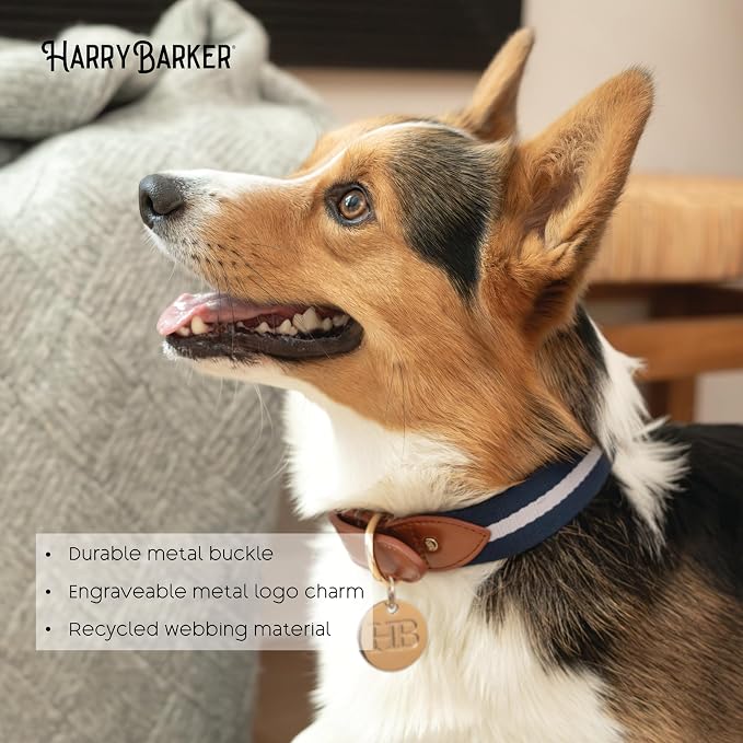 Harry Barker Blue Pieced Stripe Buckle Collar - Medium