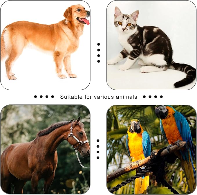 Pet Clicker for Dogs/Cats/Horses/Birds or Other Animals - Clickers for Training (Green)