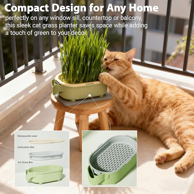 Hydroponic Cat Grass Growing Kit with Germination Tray, Easy-Grow Cat Grass Planter for Indoor Gardening, Soilless Planting Pot for Hairball Control