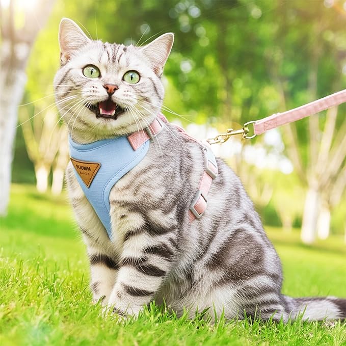 Escape-Proof Cat Harness and Leash Set - Adjustable and Comfortable - Ideal for Walking Cat Outdoors - Fits Small Dogs, Kittens, Medium, and Large Cats (Blue, XS)