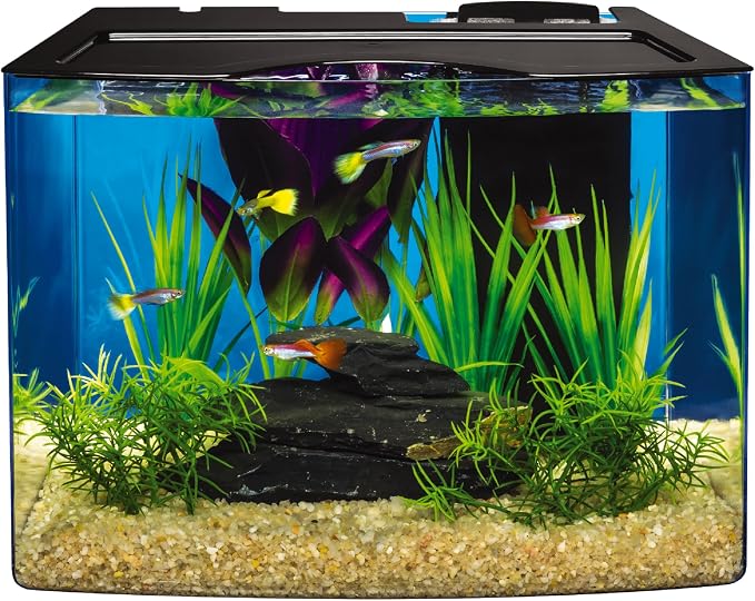 Tetra Crescent STEM 3 Gallon Fish Tank Kit | Aquarium Kit Includes STEM Activity Booklet, White LEDs, 3 Gal Curved Tank, Filter & Cartridge, Test Strips, Thermometer
