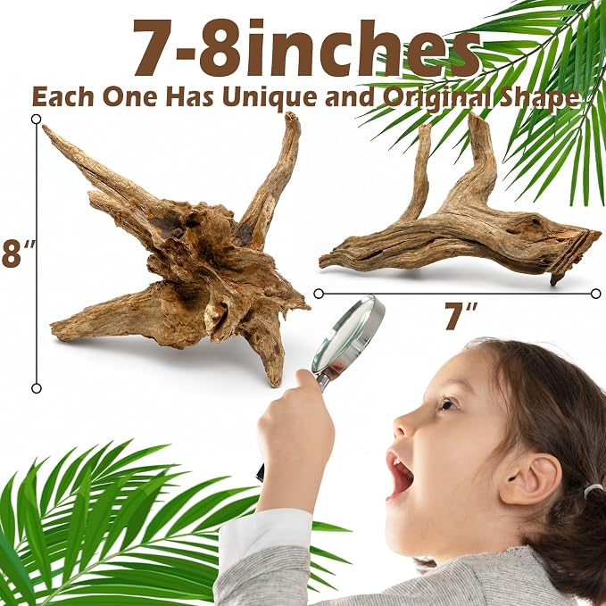 3PCS 8" Natural Driftwood for Aquarium & Reptile Tank, 7–8 Inches Unique Wood Decor for Fish Tank, Turtles, Lizards, Snakes, Natural Driftwood for Home Decor