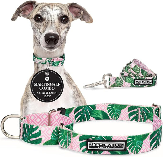 Lucky Love Dog Martingale Dog Collar & Leash - Adjustable, No-Slip, Durable, Comfortable, Soft Webbing, & Stylish Patterned Collar & Leash Set for Male and Female Dogs - Laguna Mart Combo, Medium