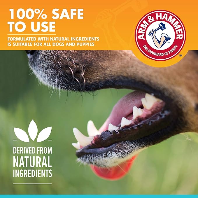 Arm & Hammer for Pets Fresh Breath Enzymatic Dog Toothpaste, Vanilla Ginger Flavor, Safe for Puppies and Adult Dogs, Daily Baking Soda Dental Gel to Eliminate Bad Breath, 2.5 Oz - 72 Pack