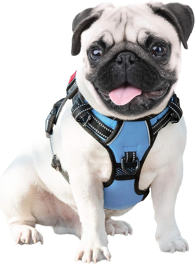 PHOEPET No Pull Dog Harness Reflective Adjustable Vest with a Training Handle, Name ID Pocket, 2 Metal Leash Hooks, 3 Snap Buckles [Easy to Put on & Take Off](S, Baby Blue)