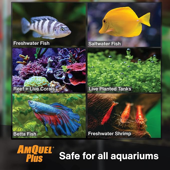 Kordon Amquel Plus Aquarium Water Conditioner - Instantly Detoxifies Ammonia, Nitrite, Nitrate, and Chlorine Remover for Freshwater & Saltwater Aquariums, 8 Ounces