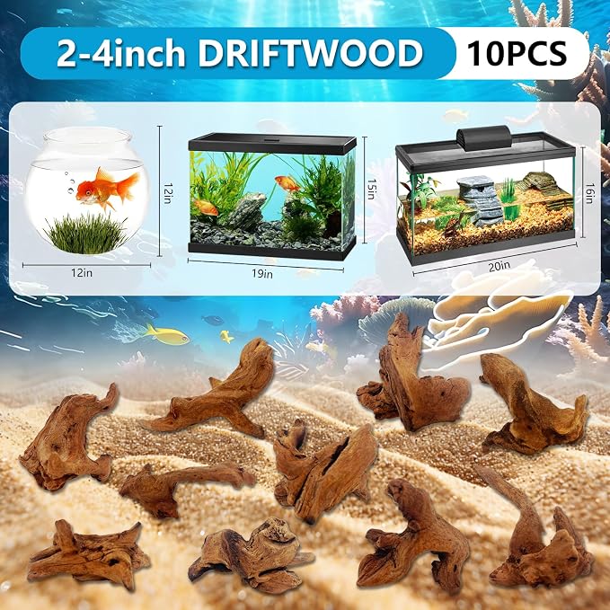10 PCS Natural Aquarium Driftwood 2-4", Aquarium Drift Wood for Fish Tank Decoration, Assorted Size Mopani Wood Twisted Branches Trunk Decor for Freshwater, Reptile Terrarium