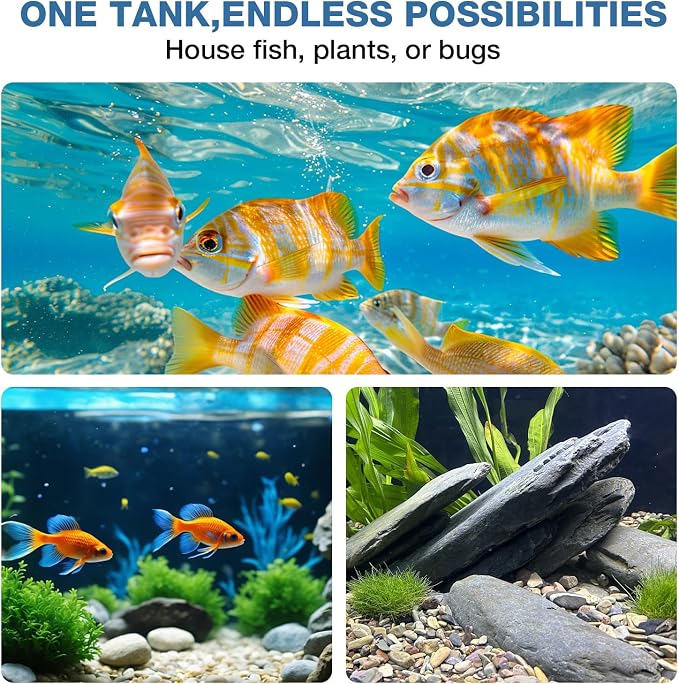 20 Gallon Rectangular Fish Tank, Rimless Ultra Clear Nano Aquarium | 6mm Thickness Ultra Clear Fish Tank for Betta/Turtle/Goldfish/Snails/Shrimp and Aquatic Planting