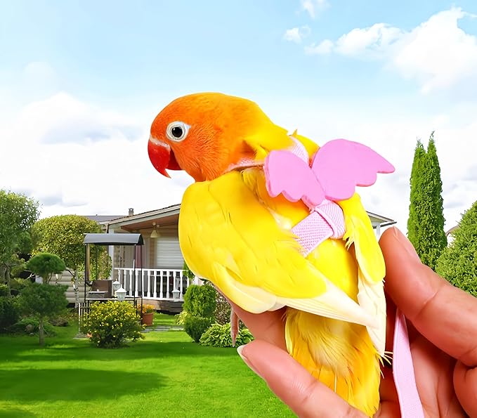3 Sets Pet Parrot Bird Harness and Leash with Cute Wing, Adjustable Bird Flying Harness Straps Outdoor Training Traction Rope for Parrots Pigeons Lovebird Cockatiel(S,Pink, Yellow&Purple)