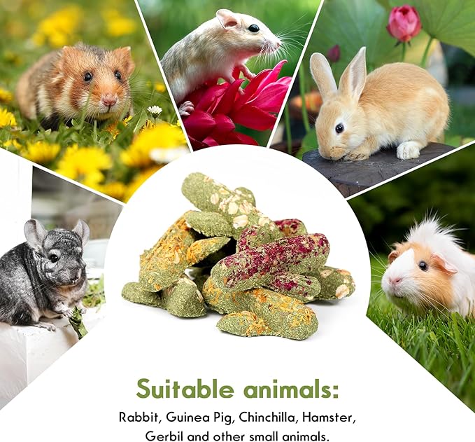 Abizoo Rabbit Chew Toys Natural Timothy Hay Oat Bunny Treats Snack Bunny Chew Sticks 9 Pcs Compressed Cactus Bunnies Enrichment Toys for Rabbit Guinea Pig Hamster Chinchilla Gerbil Dental Care