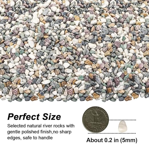 River Rocks, Landscaping Pebbles, Natural Decorative Stones, 1 Pound | Ornamental Gravel Filler For Flower Bed, Fish Tank, Plants, Vases, Succulents, Home & Garden Landscaping Decoration