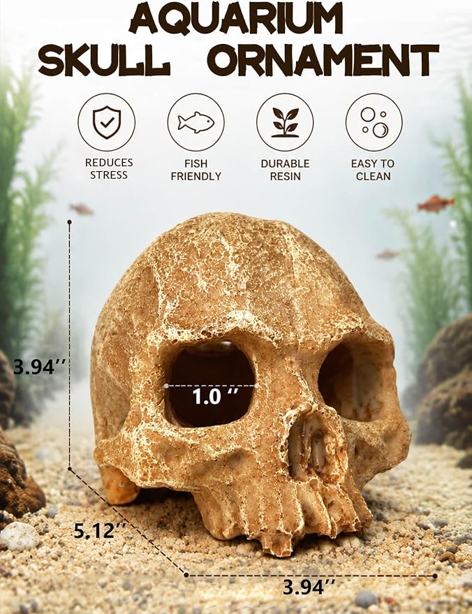 Aquarium Decor - Small Skull Hiding Cave for Fish Tank, Aquarium Hideout Ornament with Skull Texture for Betta, Guppy, Shrimp, Spider - Aquatic Hide Decoration, Fish Hiding House（White）