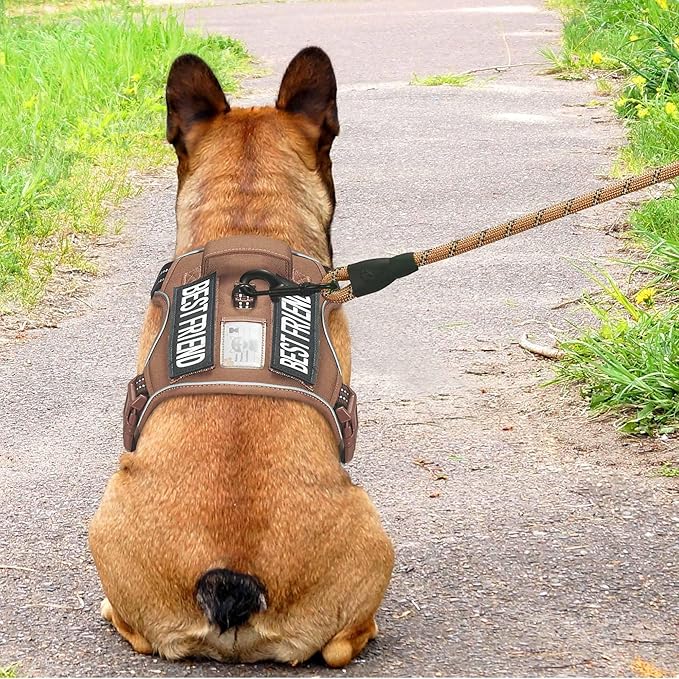 Beebiepet Heavy Duty Tactical Dog Harness for Small Dogs, No Pull Adjustable Pet Harness Reflective Service Training Easy Control Pet Vest Military K9 Working Dog Harnesses- Small, Brown