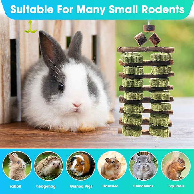 WDEFUN Natural Apple Wood Clover Cake Teeth Grinding Toy String - Rabbit Snack Chewing Toy, Safe and Durable Pet Teeth Grinding Rod, Caring for Dental Health
