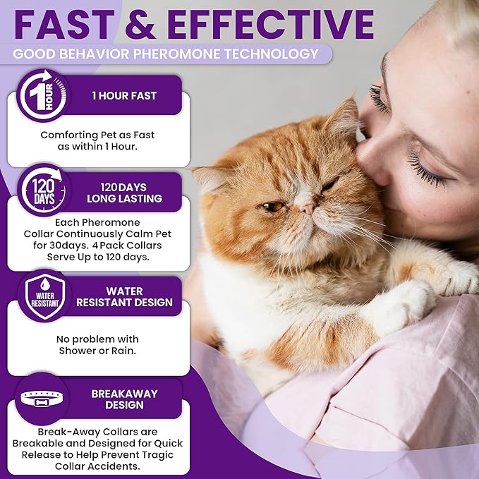 Pheromone Calming Collar for Cats: Breakaway Cat Calming Collar for Anxiety, Separation Stress, Multicat Aggression, Spraying, Meowing - for Indoor Use, Moving & Travel, 4 Pack (Purple)