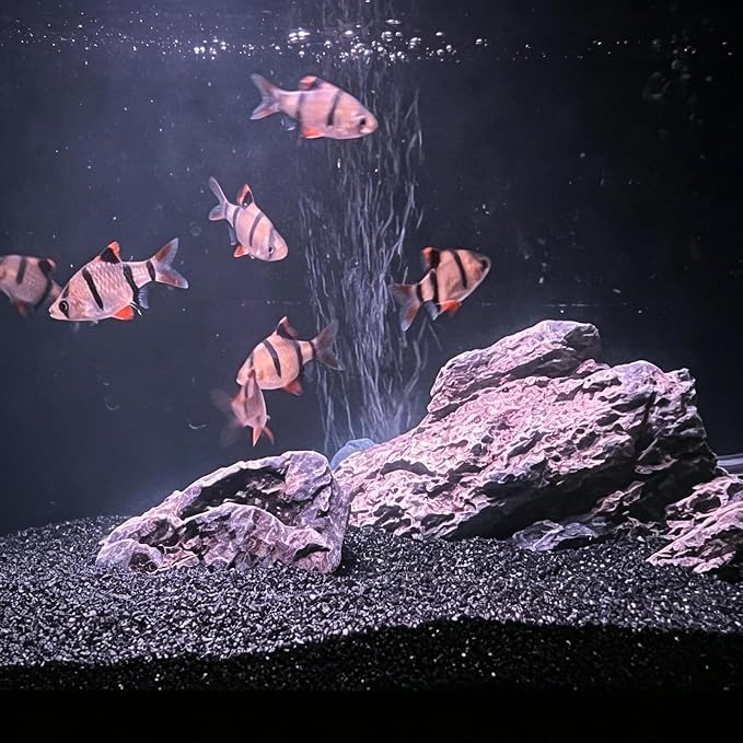 Black Aquarium Sand, 10lbs Fish Tank Sand Mini Gravel Substrate | Silica Sand Substrate for Freshwater Saltwater Aquarium, Terrarium, Plant, Craft Decor