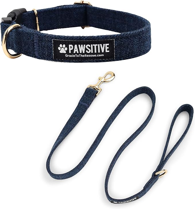 Pawsitive Wool Dog Collar - Hypoallergenic Dog Collar, Great Dog Collar for Sensitive Skin, Soft Collar for Dogs, Soft Organic Dog Collar Eco-Friendly (Medium, Blue & Leash)
