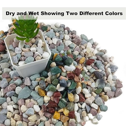 5 LB Mixed Gravel 0.5 Inch for Plants, Fish Tanks & Landscaping | Mixed Decorative Gravel & Pebbles for Plants, Aquariums, Vases, Landscaping & Indoor Décor