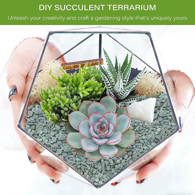 NUPICK 20lb Green Zeolite for Plants, 3/8" Gravel for Cactus | Natural Succulent Potting Soil Amendments, Decorative Bonsai Gritty Rock, Pebbles Pumice for Vase Fillers, Top Dressing