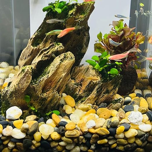 10LB Decorative River Rocks Gravel -2/5/'' Mixed Color Gravel for Vase Filling, Flower Pot Paving. Gravel for Garden Decoration,Landscaping,Aquarium Aquascape Gravel, Fish Tanks Gravel.