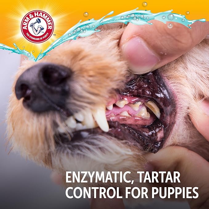 Arm & Hammer Complete Care Enzymatic Dog Toothpaste, Peanut Butter Flavor, Baking Soda and Calcium, Enzymatic Tartar Control Formula, Non-Toxic, Fluoride Free, 6.2 Oz