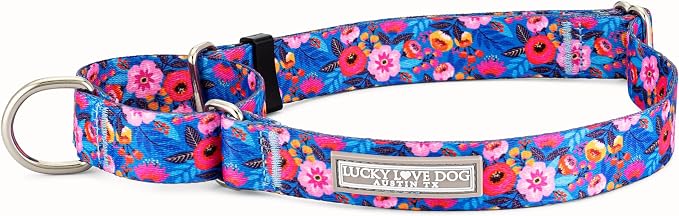 Lucky Love Dog Martingale Dog Collar - Adjustable, No-Slip, Durable, & Soft Webbing Collar for Male and Female Dogs Ideal for Training & Walking - Zuzu, Large