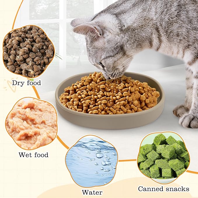 BNOSDM Silicone Dog Food Plate Shallow Dog Bowl Flat Cat Dish 1 Pack Small Puppy Plates for Small Dogs and Cats Whisker Fatigue Pet Feeding Bowls for Dry and Wet Food (Light Grey)