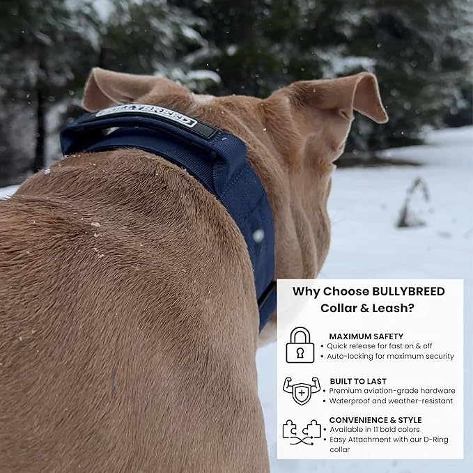Heavy Duty Dog Collar, Tactical Dog Collar, Dog Collar for Large Dogs, Waterproof Dog Collar, Dog Training Collar, Quick-Release Metal Buckle, Adjustable Sizes – BULLYBREED (Navy Blue, Large)