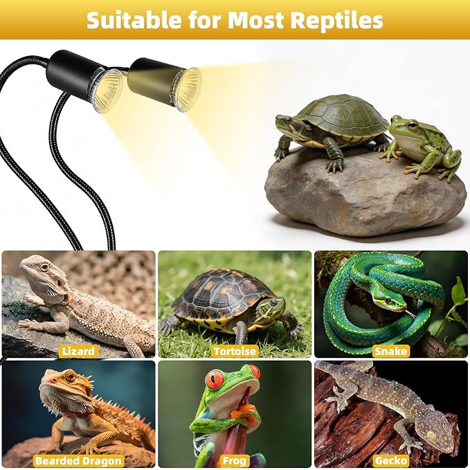 Reptile Heat Lamp with Timer & Hygrothermograph, Double-Head UVA UVB Light | Simulated Sunlight Basking Spot Lamp for Turtle, Lizard, Snake, Beared Dragon, Amphibians, 2 Bulbs 25W+50W