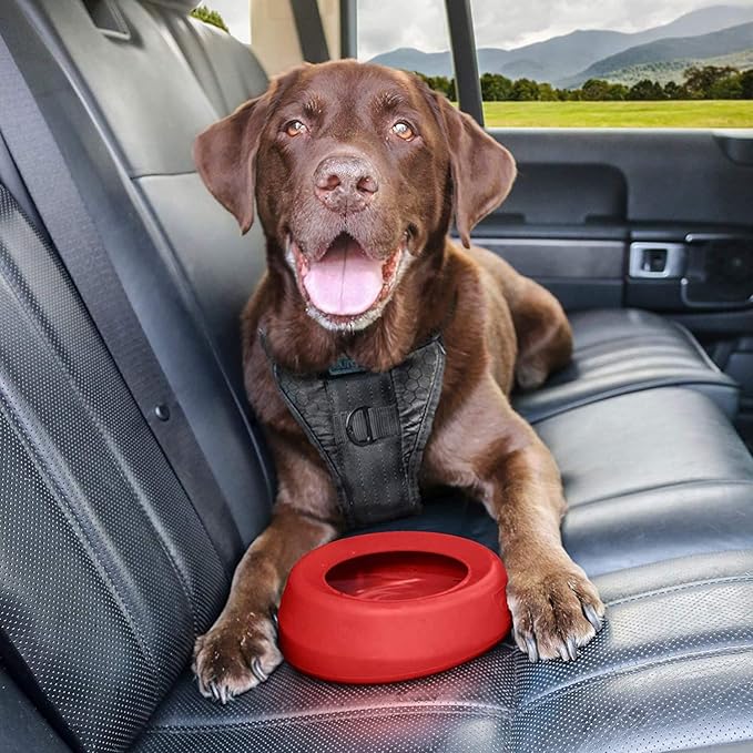 Kurgo Splash Free Wander Dog Water Bowl - Anti-Splash Rim - Travel Friendly - Food Grade Silicone - Compact Wedge Shape - Dishwasher-Safe Bowl - 24 oz - Chili Red