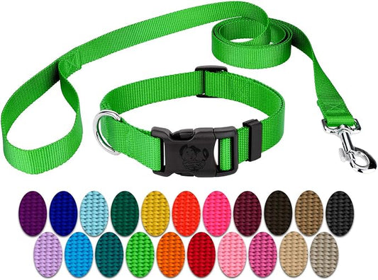 Country Brook Petz - Everyday Nylon Dog Collar and Leash - 10+ Cool Colors (3/8 Inch, 2XS, Hot Lime Green)