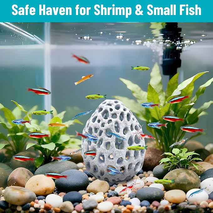 Obfuscate Shrimp Hides for Aquarium, Realistic Coral Rock Aquarium Decor | Shrimp Cave with Suction Cup, Non-Toxic PETG,Shrimp Tank Accessories,Fish Tank Hideout for Small Fish, Shrimp,Guppies, Betta