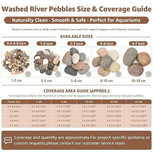 20lbs Natural Large River Rocks, 2''-3''Decorative Stones, Aquarium Pebbles | Water-Washed Natural Finish, Hand-Picked, for Plants, Fish Tank, Garden, Paving, Fountain, Walkways and Outdoor Landscaping