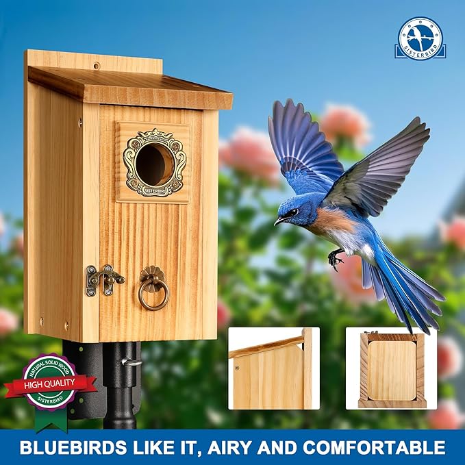 SISTERBIRD Premium Pack of 2 Bluebird Houses for Outside, Garden Bird Houses for Outdoor, Vintage Metal Predator Guard, Birdhouse Gift, Weatherproof Coating Bird Nesting, Assembly Required