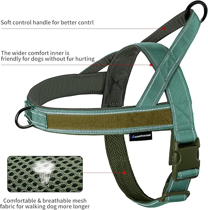 Annchwool No Pull Dog Harness with Soft Padded Handle-Reflective Strip Escape Proof and Quick Fit to Adjust Dog Harness-Easy for Training Walking for Small & Medium and Large Dogs(Green,XS,1 In Width)