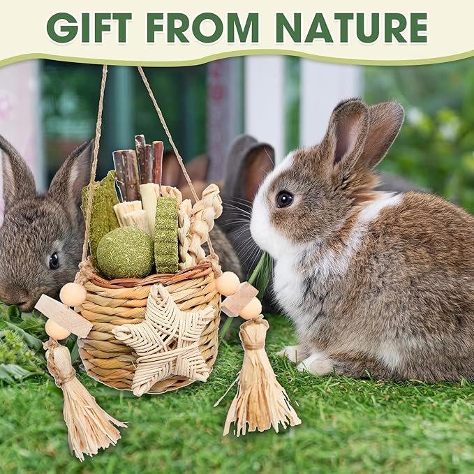 Jorewood Natural Reedgrass Chew Toy Basket for Small Pets – Hanging Rodent Dental Toys with Hay Lollipop, Apple Sticks, Sweet Bamboo (Hamsters, Rabbits, Chinchillas, Guinea Pigs)