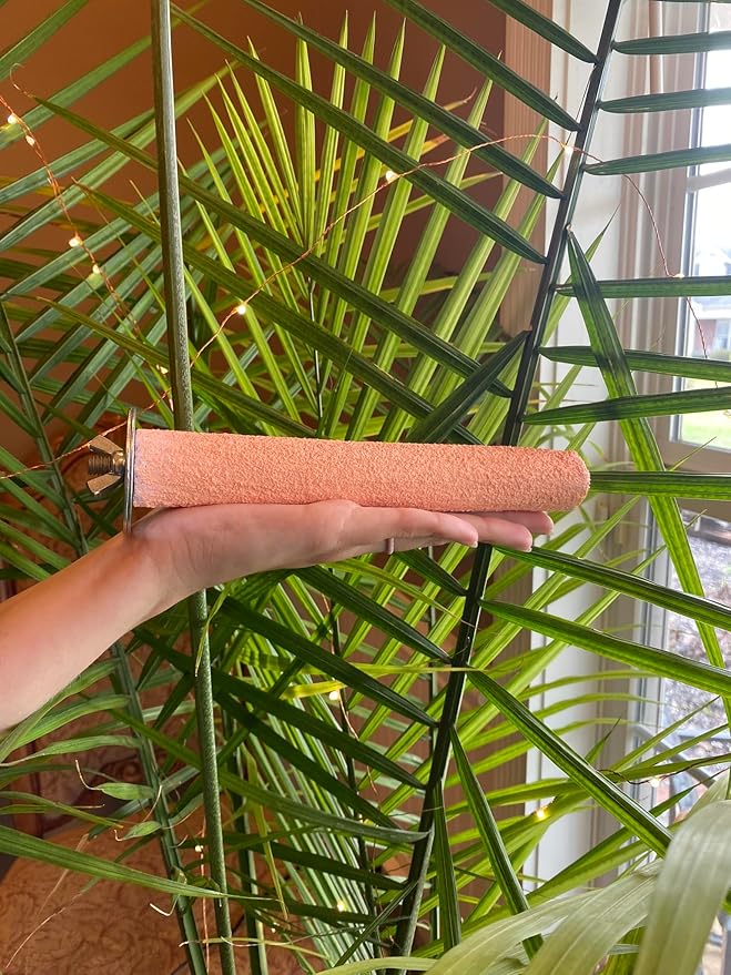 Polly's Pastels Nail Trimming & Beak Conditioning Safety Perch for Cockatiels, Cockatoos, Macaws, Parakeets, Budgies, Parrots and All Other Birds (Coral, Medium-1 1/4" Dia. x 8" Long)