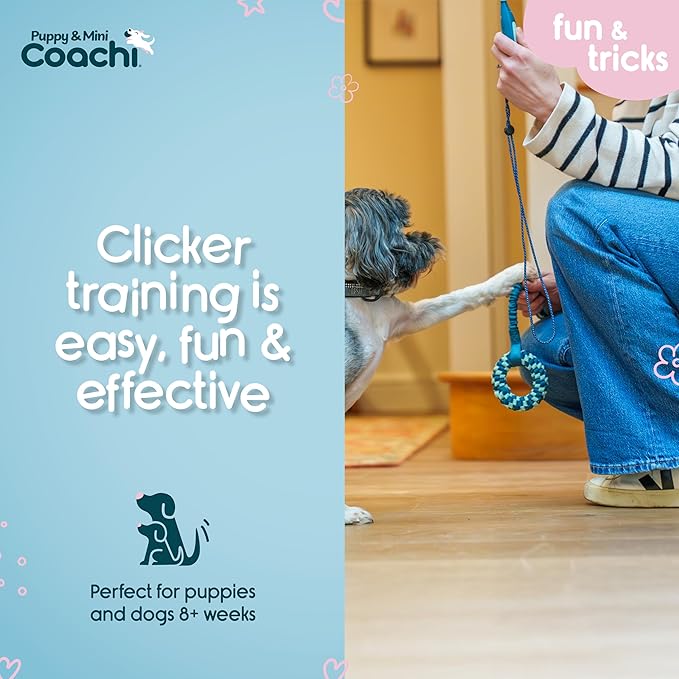 Coachi Puppy & Mini Whizzclick - 2-in-1 Combined Clicker and Whistle, Dog Training Whistle for Recall and Clicker Training for Rewarding, Adjustable and Reflective Lanyard, Suitable for Dogs & Puppies