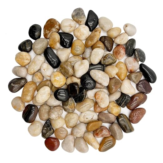 RITOLLO 6 lb River Rocks Pebbles for Indoor Plants 3/8-1 Inch Natural Aquarium Gravel Decorative Fish Tank Rocks Garden Landscaping Decor