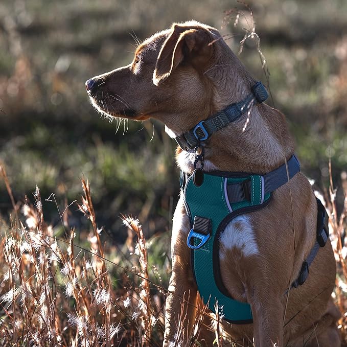 Embark Adventure No-Pull Large Dog Harness – Reflective Trim, Military-Grade Nylon, Front Clip with Gel-Lined Handle