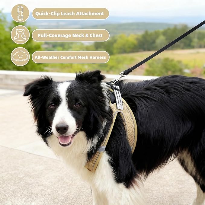 SMOUATOU All Weather Mesh Step in Vest Harness for Small and medidum Dogs and Cats, Adjustable Soft Padded Dog Vest with Easy Control Handle for Dogs Pets (Khaki, XS)