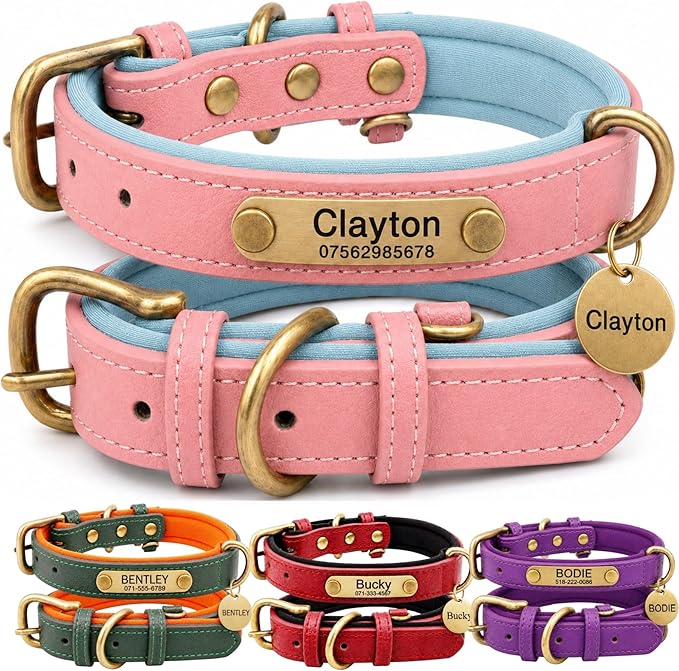 Leather Dog Collar Personalised and Leash Set, Personalized with Soft Padded Design Heavy Duty Featuring Custom Engraved Name Plate for Small Medium and Large Dogs
