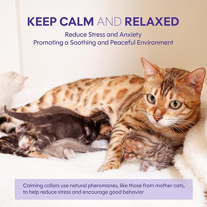 Cat Calming Collar 4 Pack – Pheromone Collar for Cats, Adjustable Breakaway, Water-Resistant, Stress Relief, Helps Reduce Scratching, Noise Sensitivity & Separation Anxiety