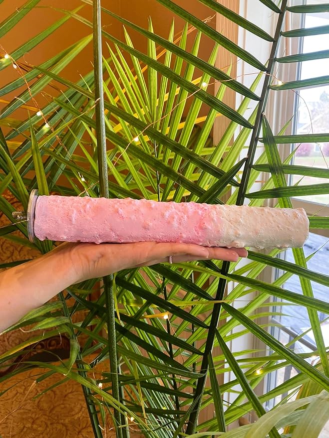 Polly's Edible Cuttlebone Calcium Bird Cage Perch for Budgies, Parakeets, Amazons, Blue & Golds, Macaws and Cockatoos.… (Strawberry, Large)