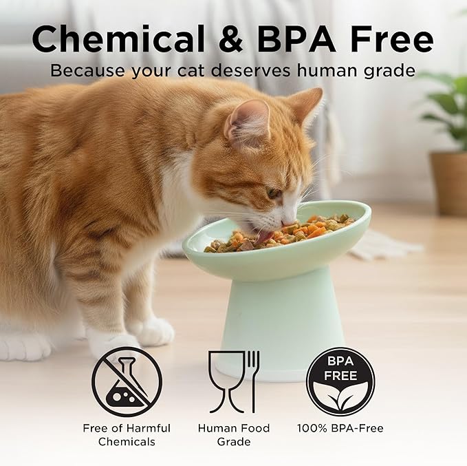 Necoichi 2pcs Tilted Elevated Cat Food Bowls BPA-Free Plastic 15° Tilted Raised Cat Bowl for Whisker & Neck Fatigue, Dishwasher Safe Non-Slip & Anti-Vomiting Ergonomic Design (Smoky Mint)