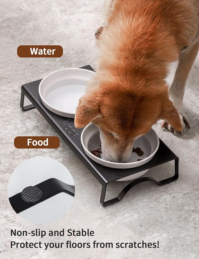 Ceramic White Dog Bowls Set - 5 inch Dog Food & Water Bowls, Elevated Feeding Bowls with Metal Stand for Small Size Dog,Puppy Bowl Set for Wet and Dry Food