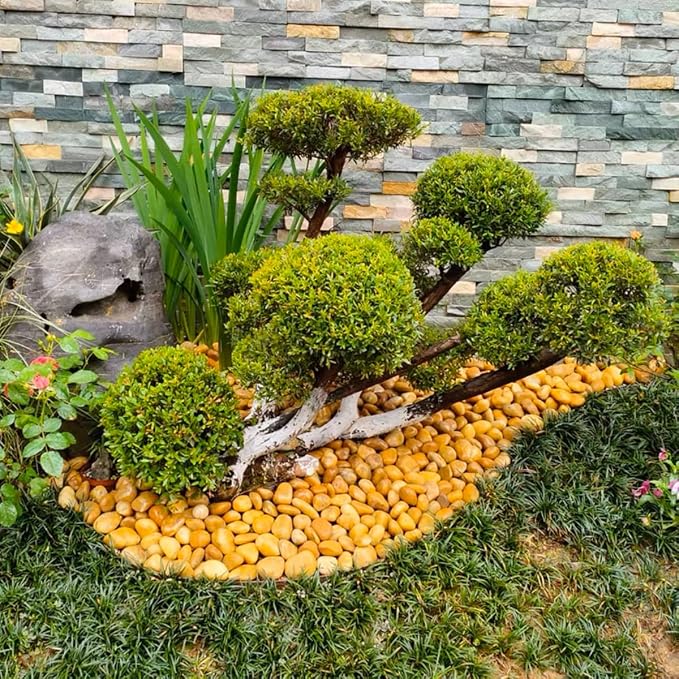 Rocks for Plant 5lbs, Yellow River Rocks 1-2 Inch Natural Pebbles for Indoor Plants, High Polished Decorative Stones Vase Filler Fish Tank Aquariums Landscaping Garden